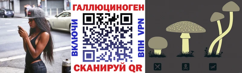 Псилоцибиновые грибы MAGIC MUSHROOMS  ссылка на мегу   Алапаевск  где найти наркотики 
